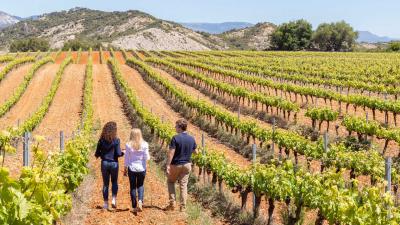 Wine tourism at Bodegas Quaderna Vía